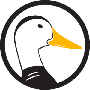 odd duck media san antonio tx seo digital marketing
